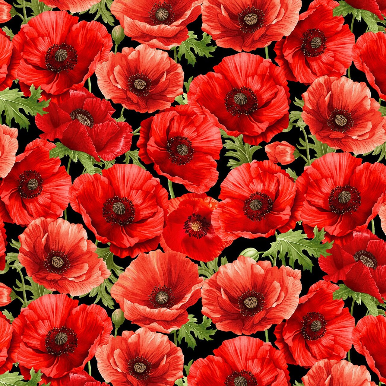 Fabric Timeless Treasures Black Large Poppy Floral Poppy Passion by the Quarter Yard CD3802-BLACK